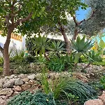 Appartement Cactus *