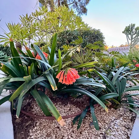 Cactus Apartment *