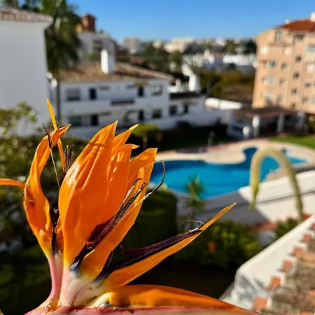 Διαμέρισμα Cactus *