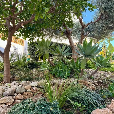 Διαμέρισμα Cactus *