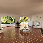 Cactus *