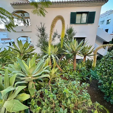 Cactus Apartment *
